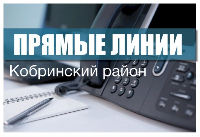 Прямые телефоннные линии с членами Постоянной комиссии Совета Республики