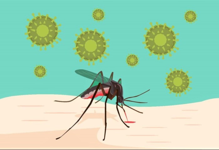 «Малярия: миф или реальность?» 