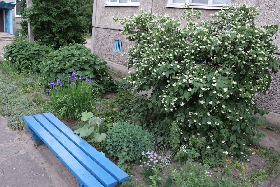 2cd6d5075f5b39b12ecd9c17489c1c6b