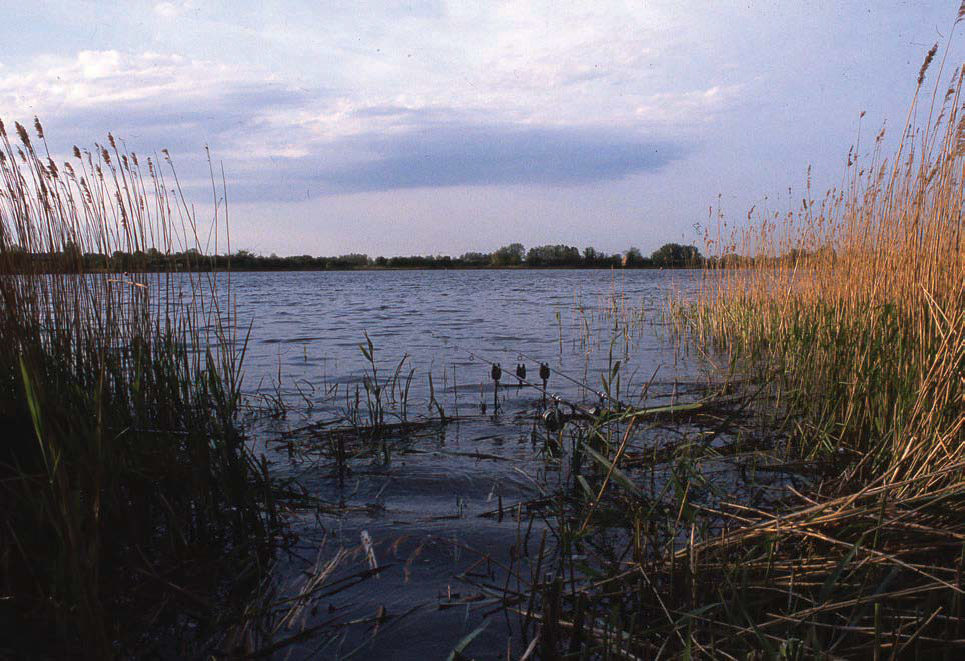 Kak prochitat vodoem 9 1080x720