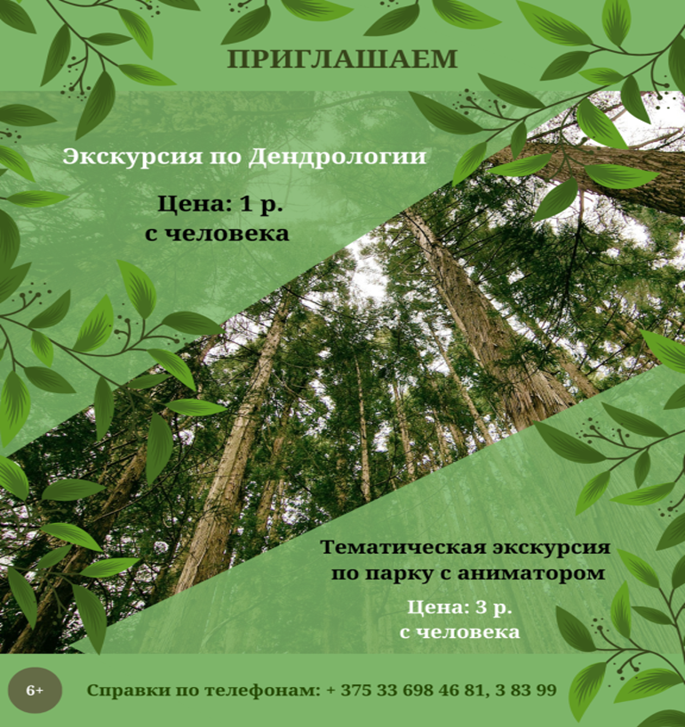 Рисунок2