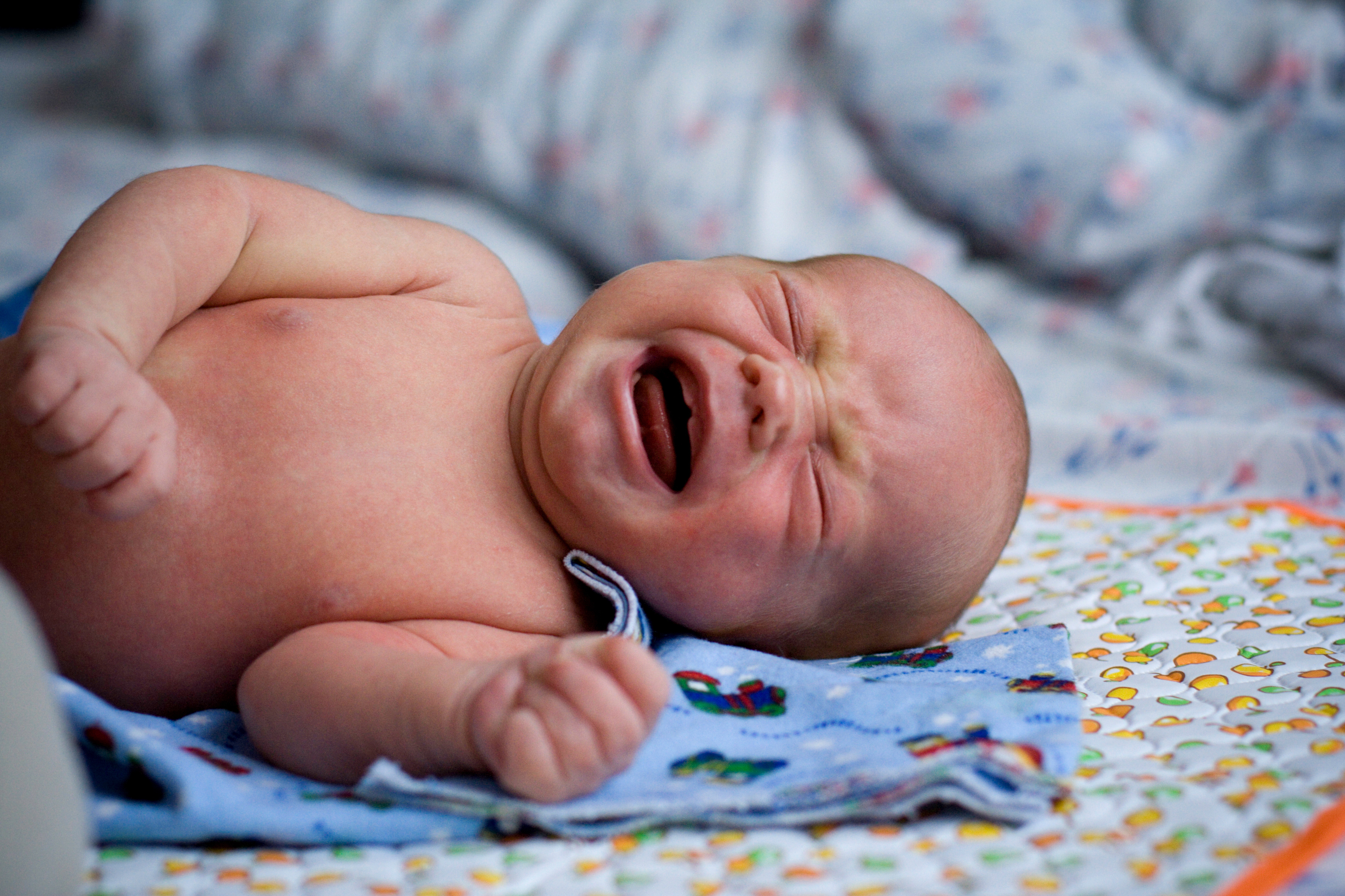 article shutterstock 42478147