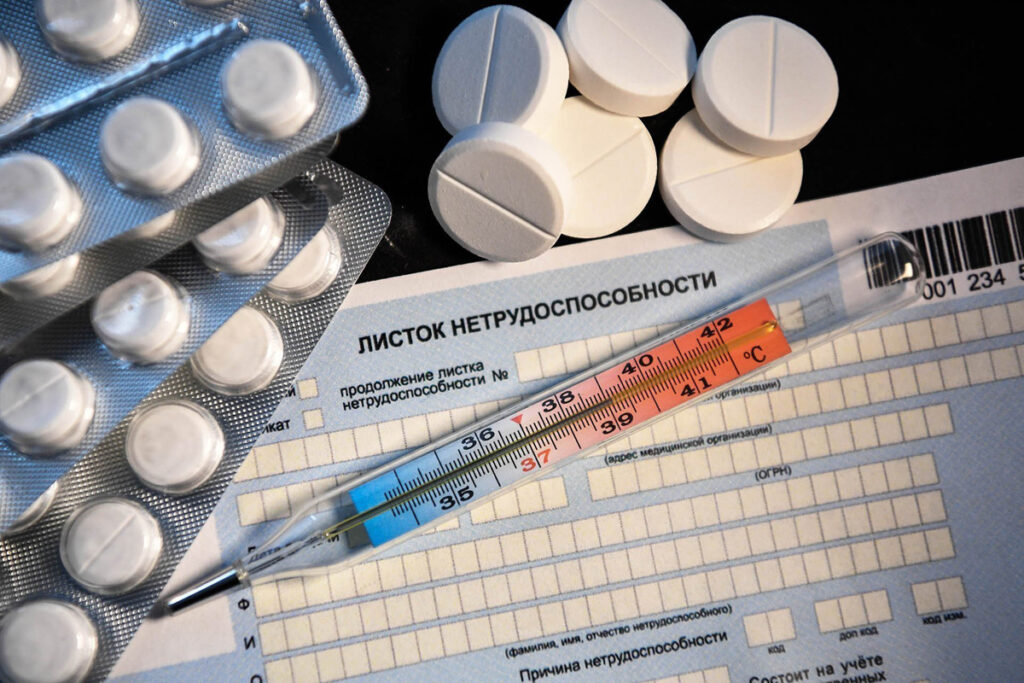 boleet 2905 1024x683 1