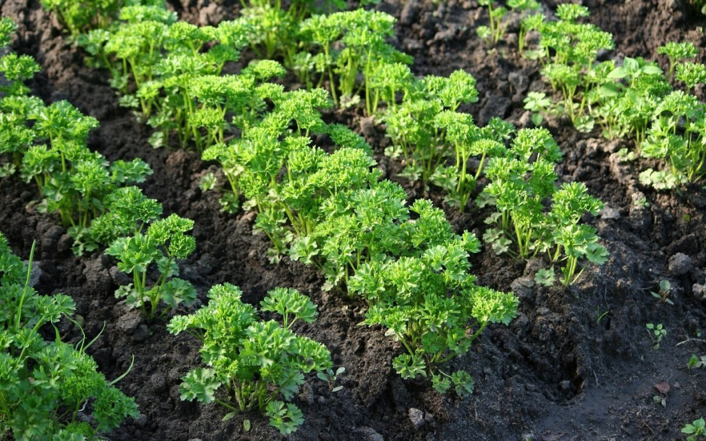 c2547cac5b1ba1fbe5751d97e5076d33