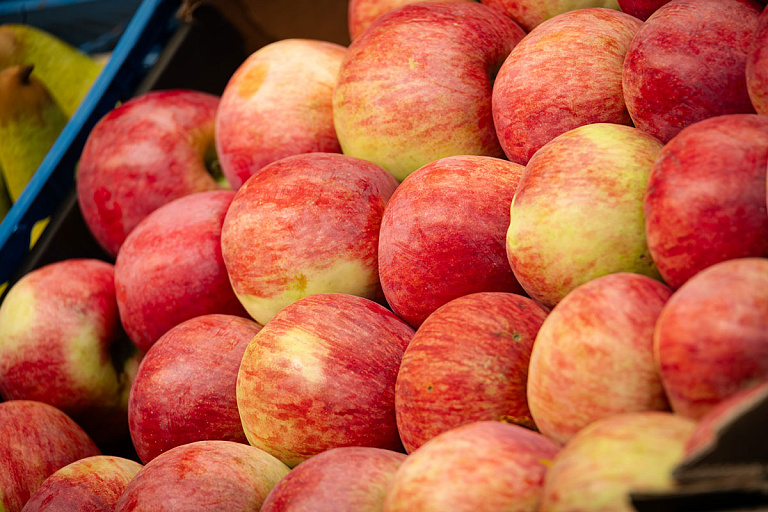 c7efede78e7ecc676335ed2840321312