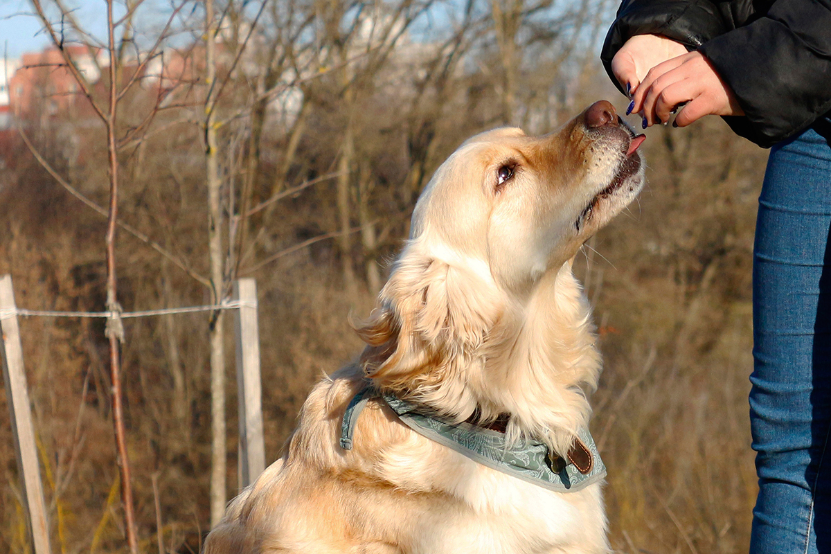 f84c8da99938fdd8eb05e1e24ee8bd42