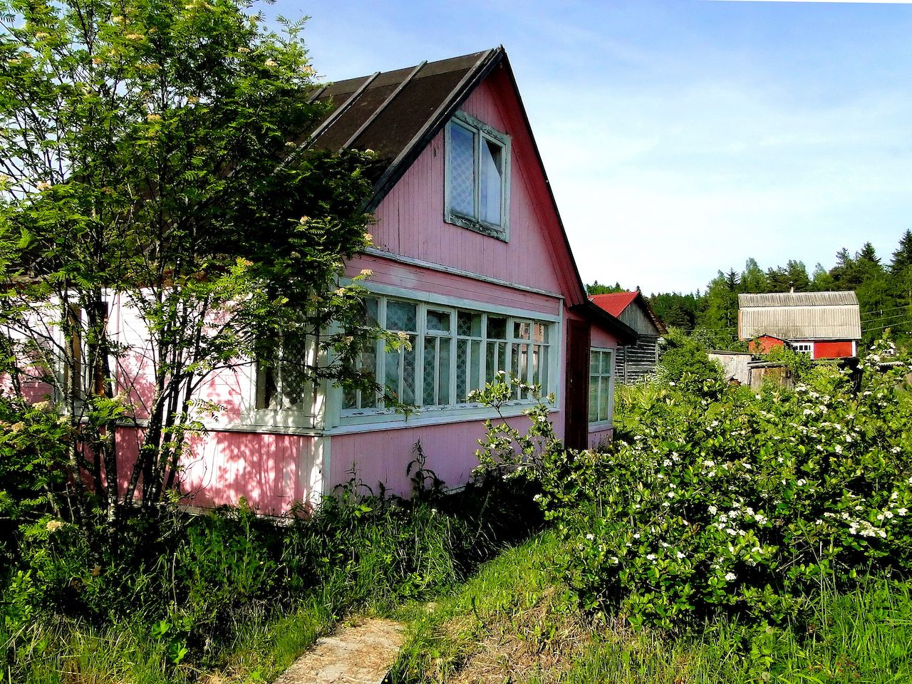 image5