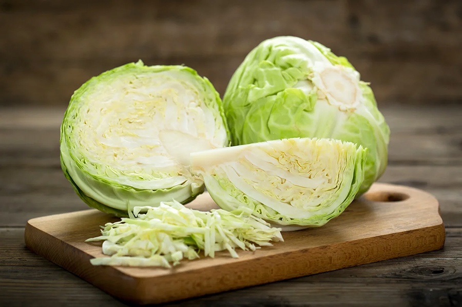 kapusta