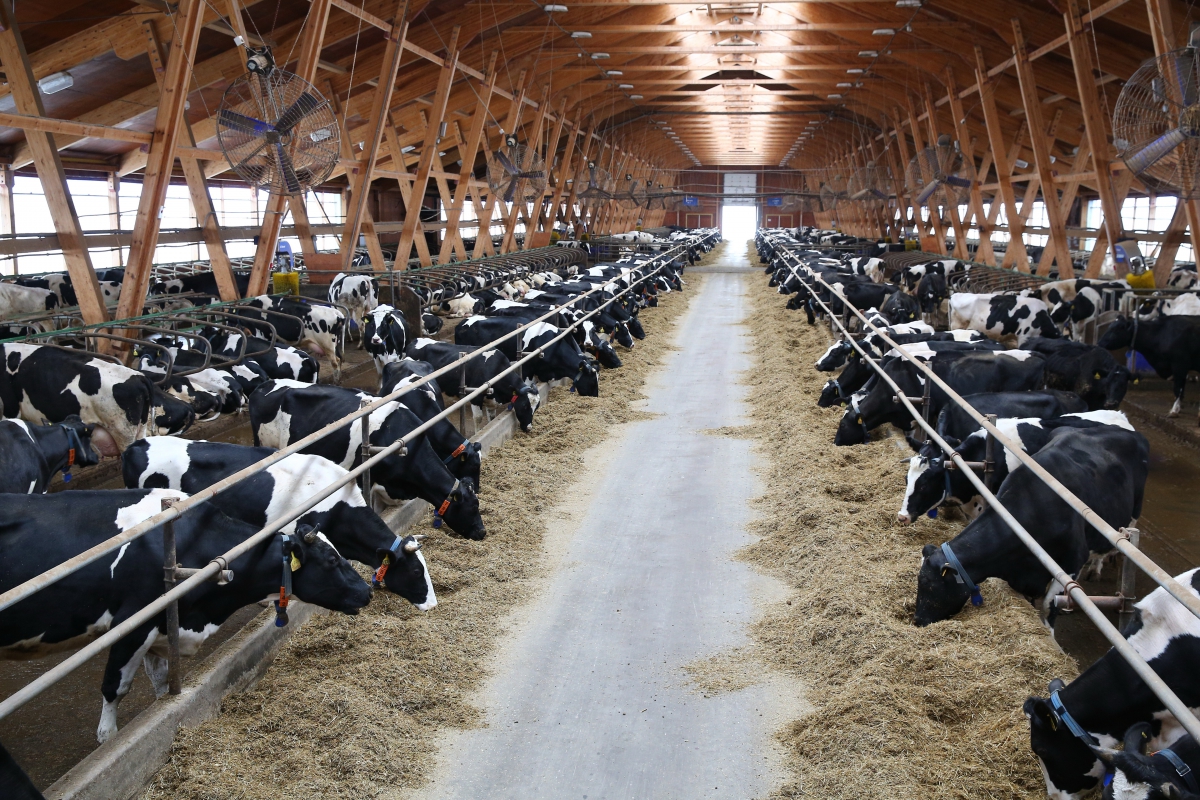 lvbwywmshb92qbinugesis27q40t4ak6