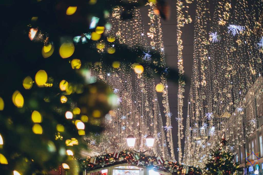 pexels photo 3810713