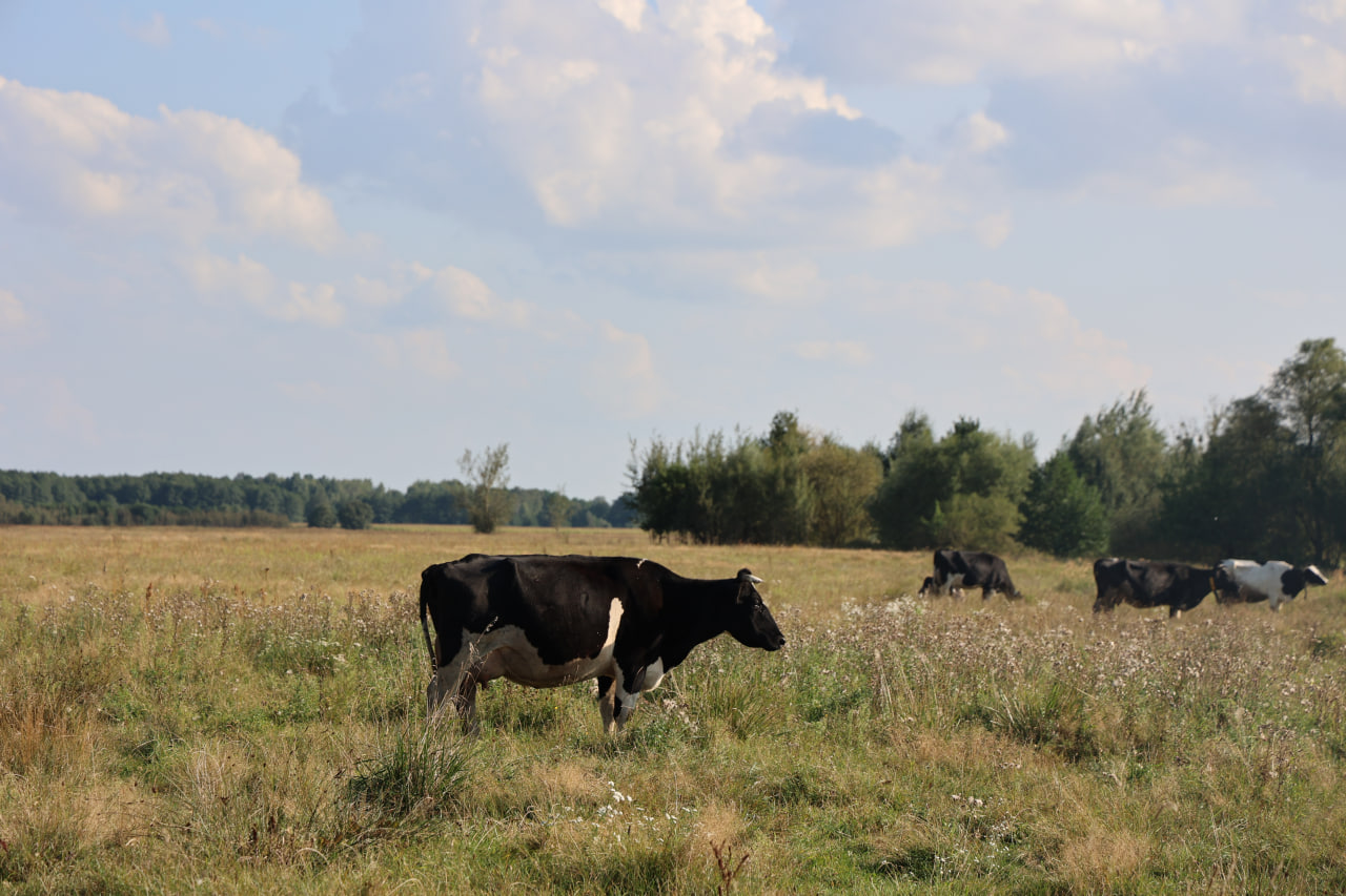 photo 2025 09 19 08 47 47