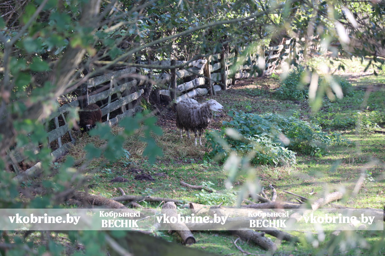 photo 2025 09 23 11 19 39 3