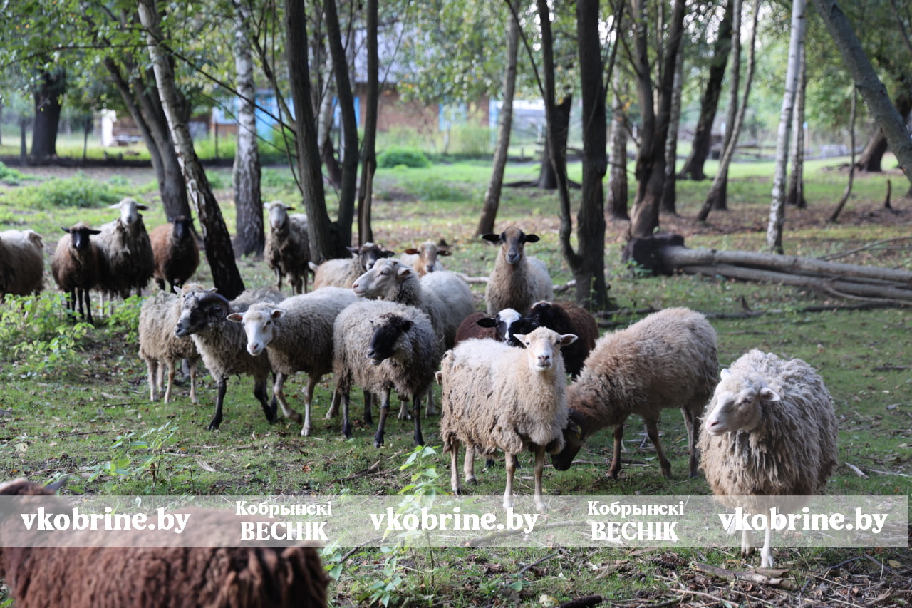 photo 2025 09 23 11 19 40 2