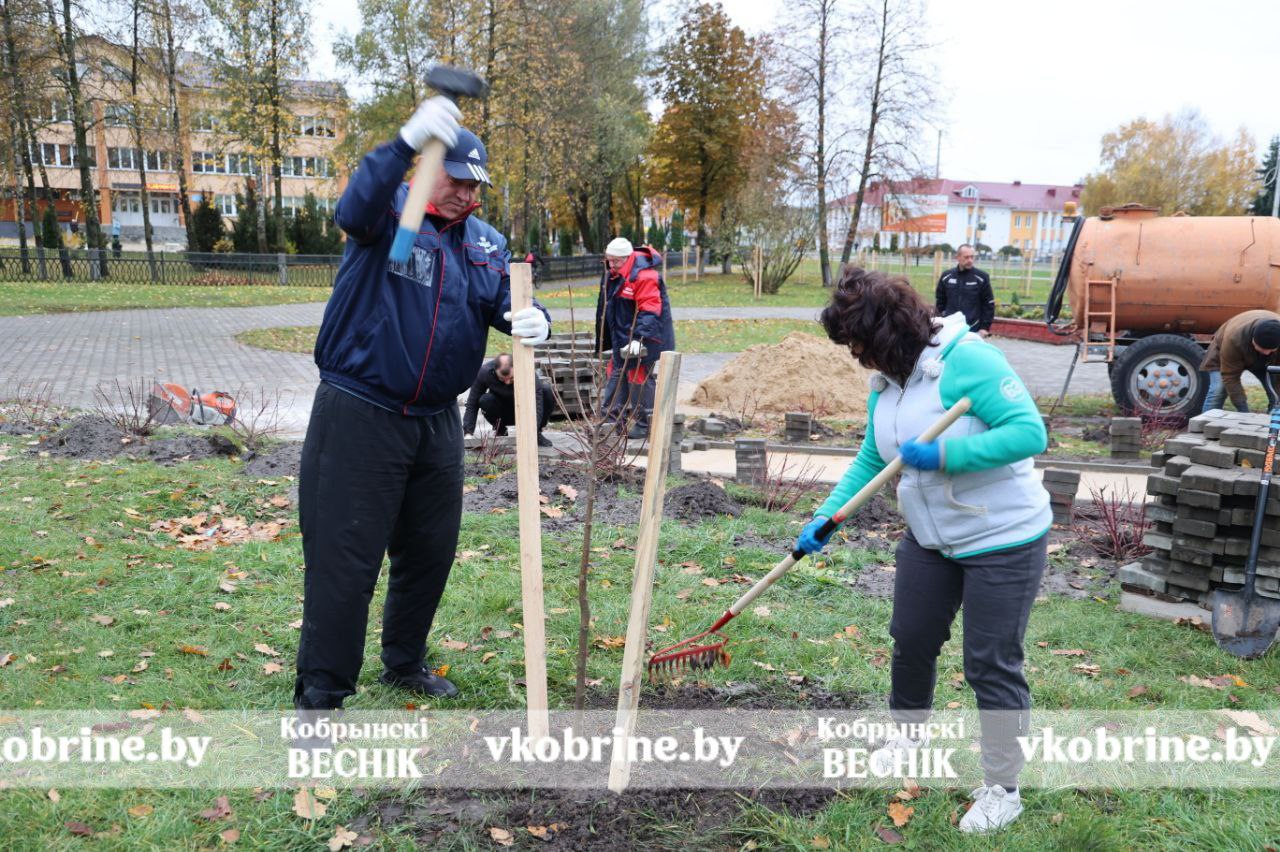 photo 2025 10 25 10 33 53