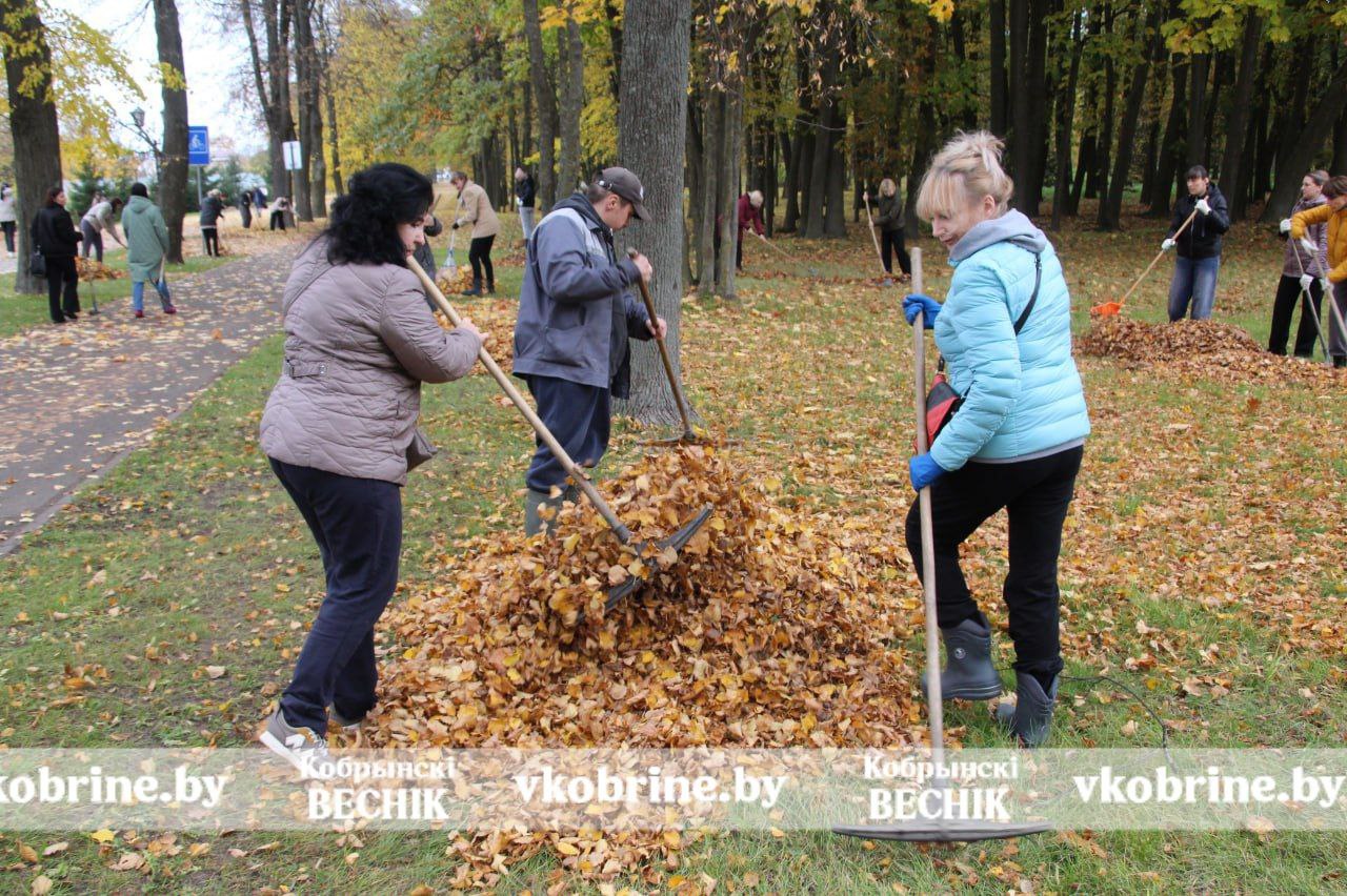 photo 2025 10 25 10 50 14