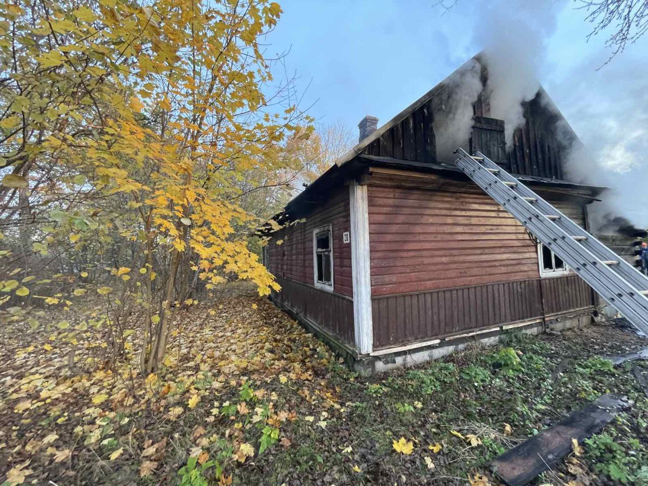 photo 2025 10 28 11 14 26