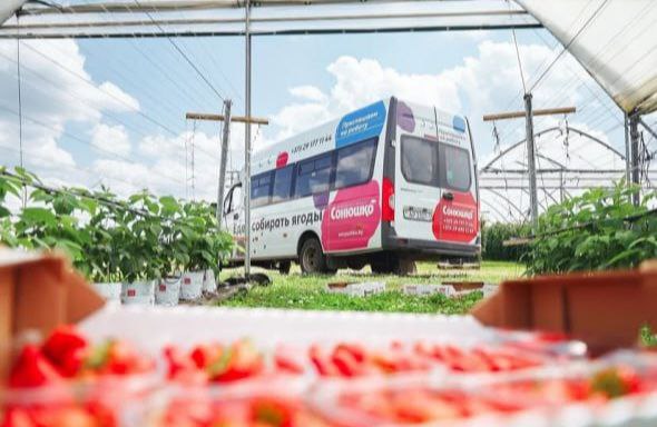 photo 2025 12 24 15 02 41 2