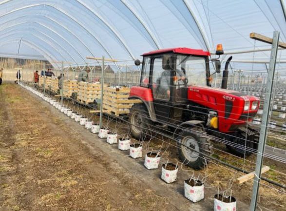 photo 2025 12 24 15 02 42