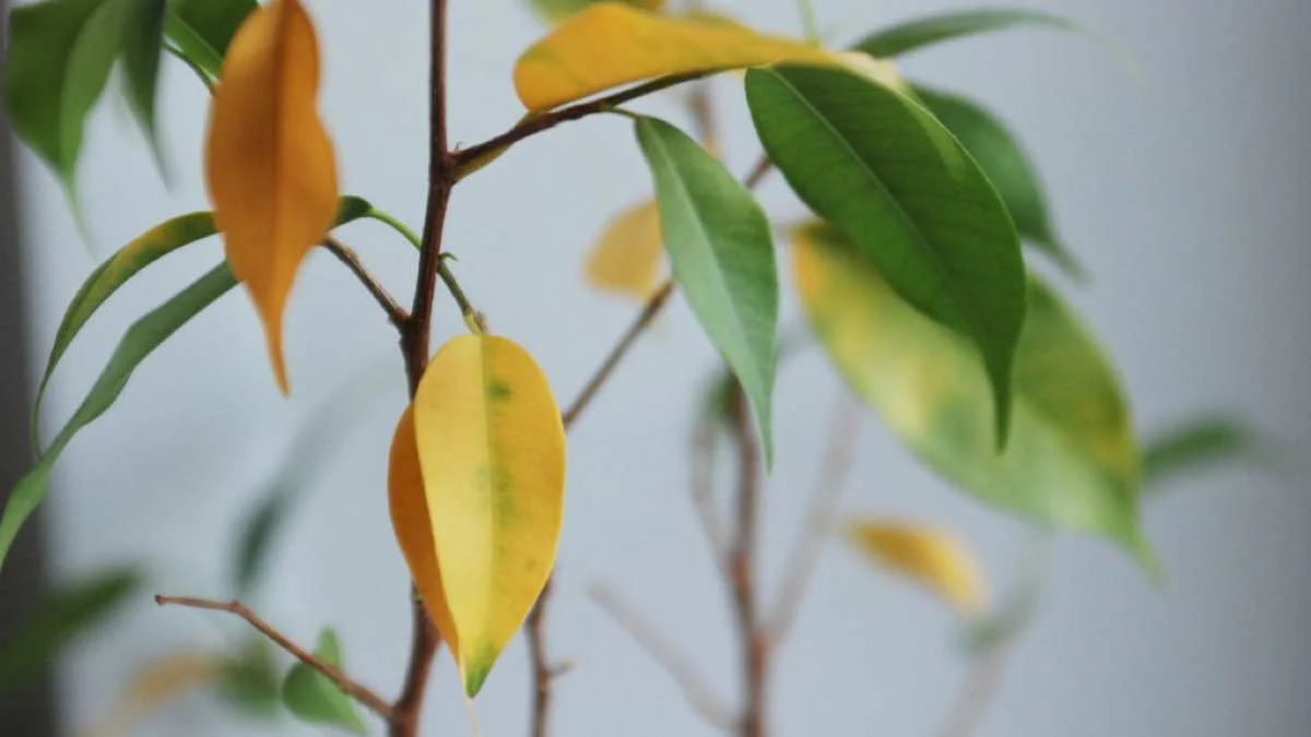 photo 2026 01 13 09 18 18