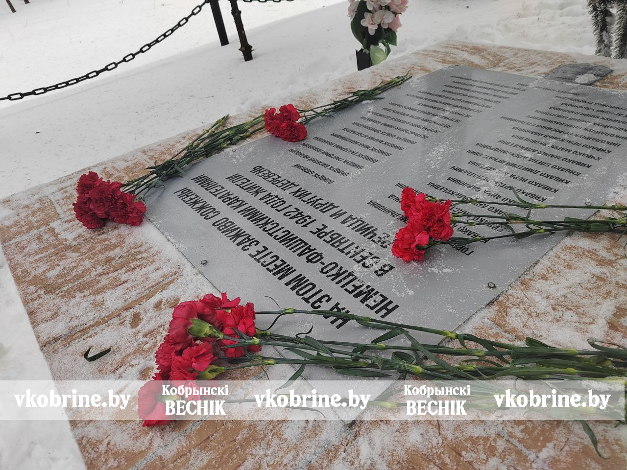 photo 2026 01 27 12 45 03 4 3