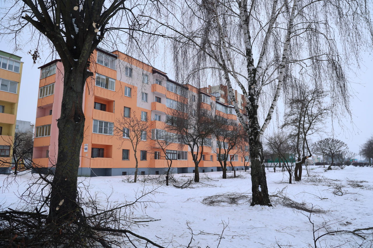 photo 2026 01 28 15 39 25 2