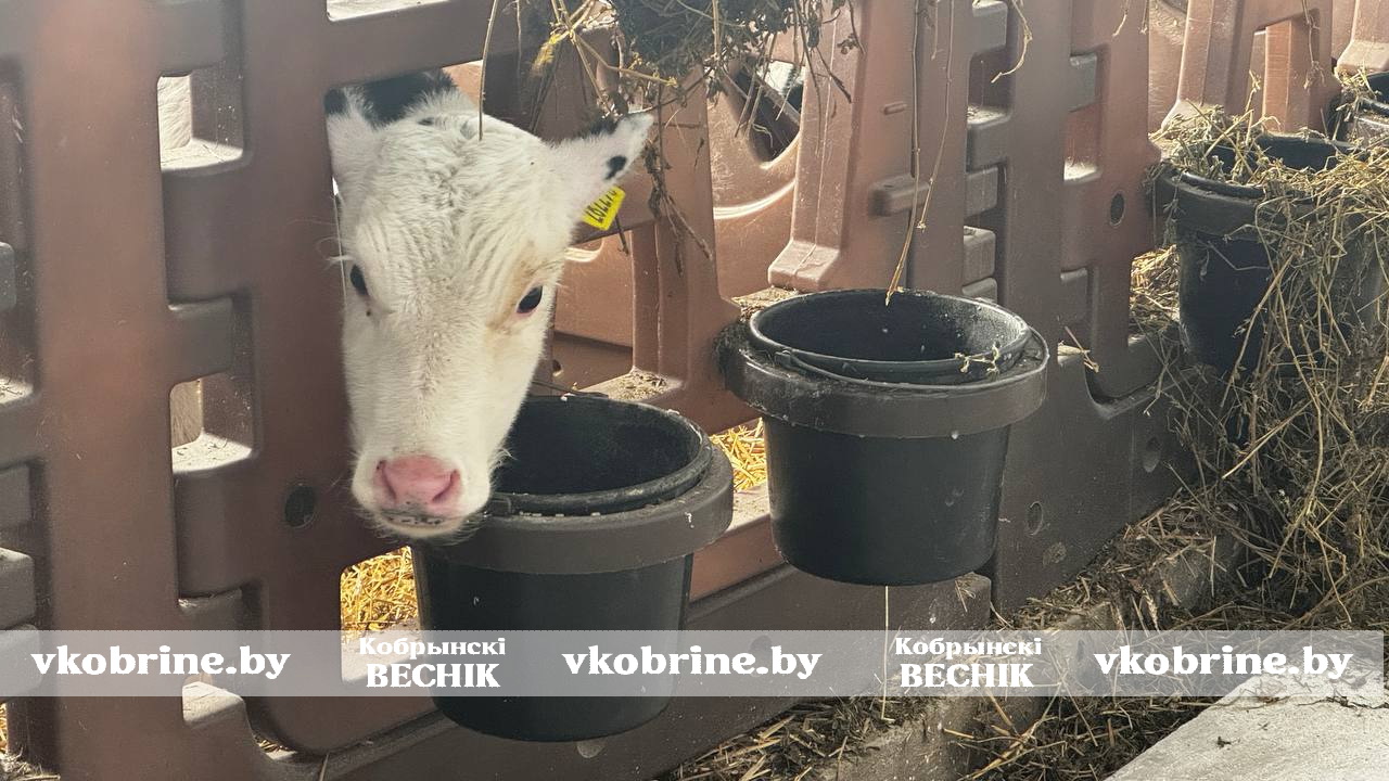 photo 2026 02 03 16 01 05 2