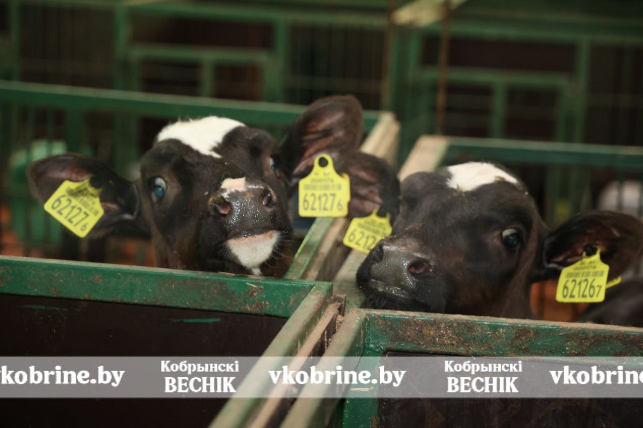 photo 2026 02 17 16 04 13 4