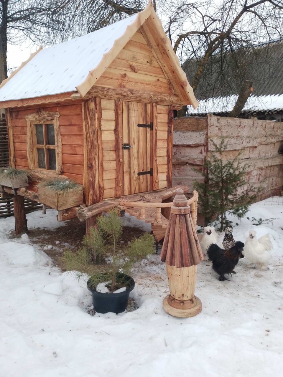 photo 2026 02 26 09 39 56