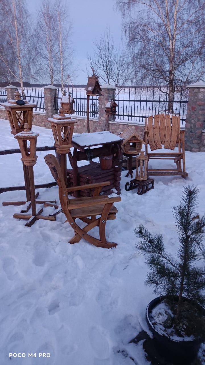 photo 2026 02 26 09 39 57 2