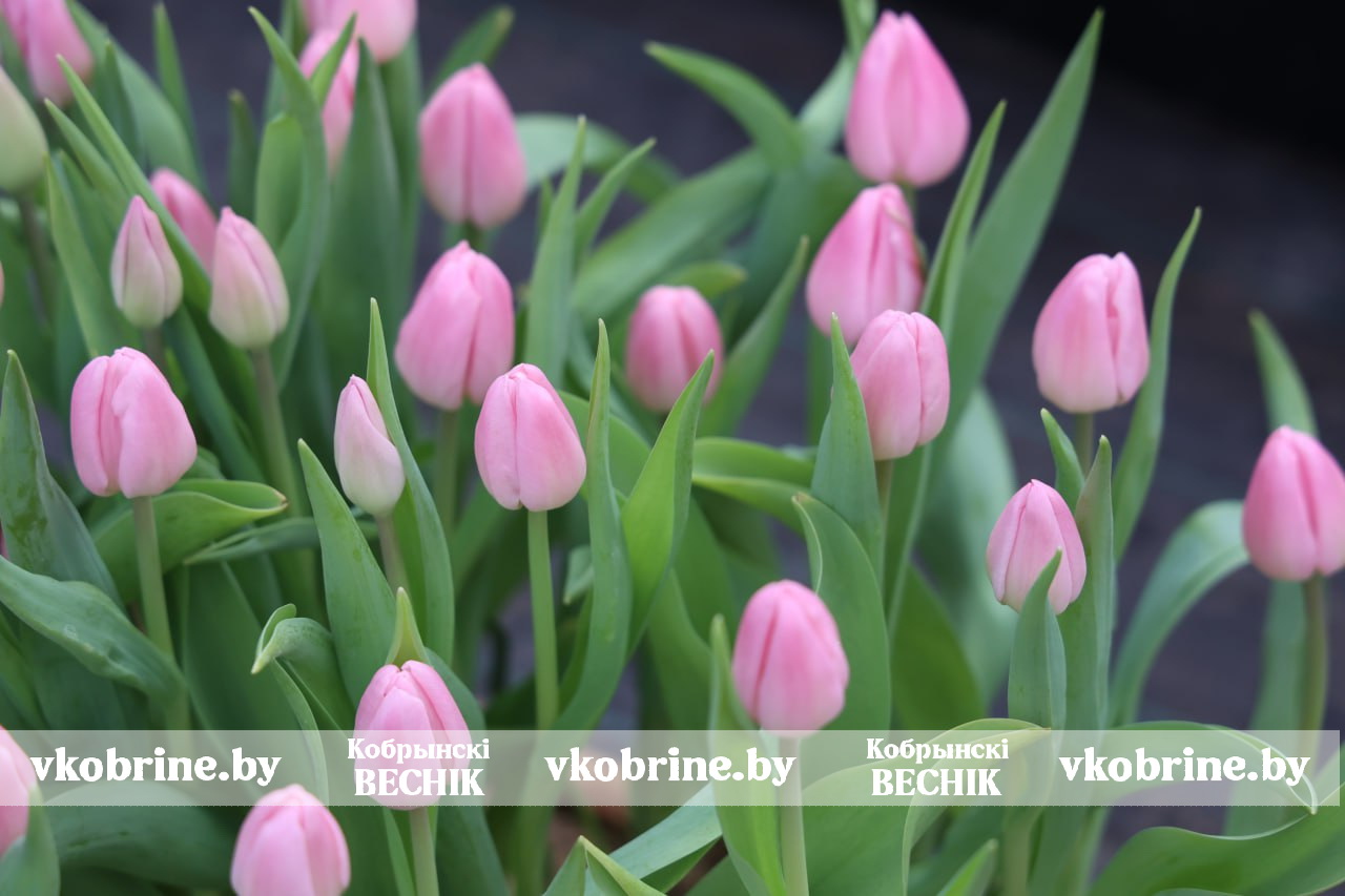 photo 2026 03 03 08 48 51 4 2