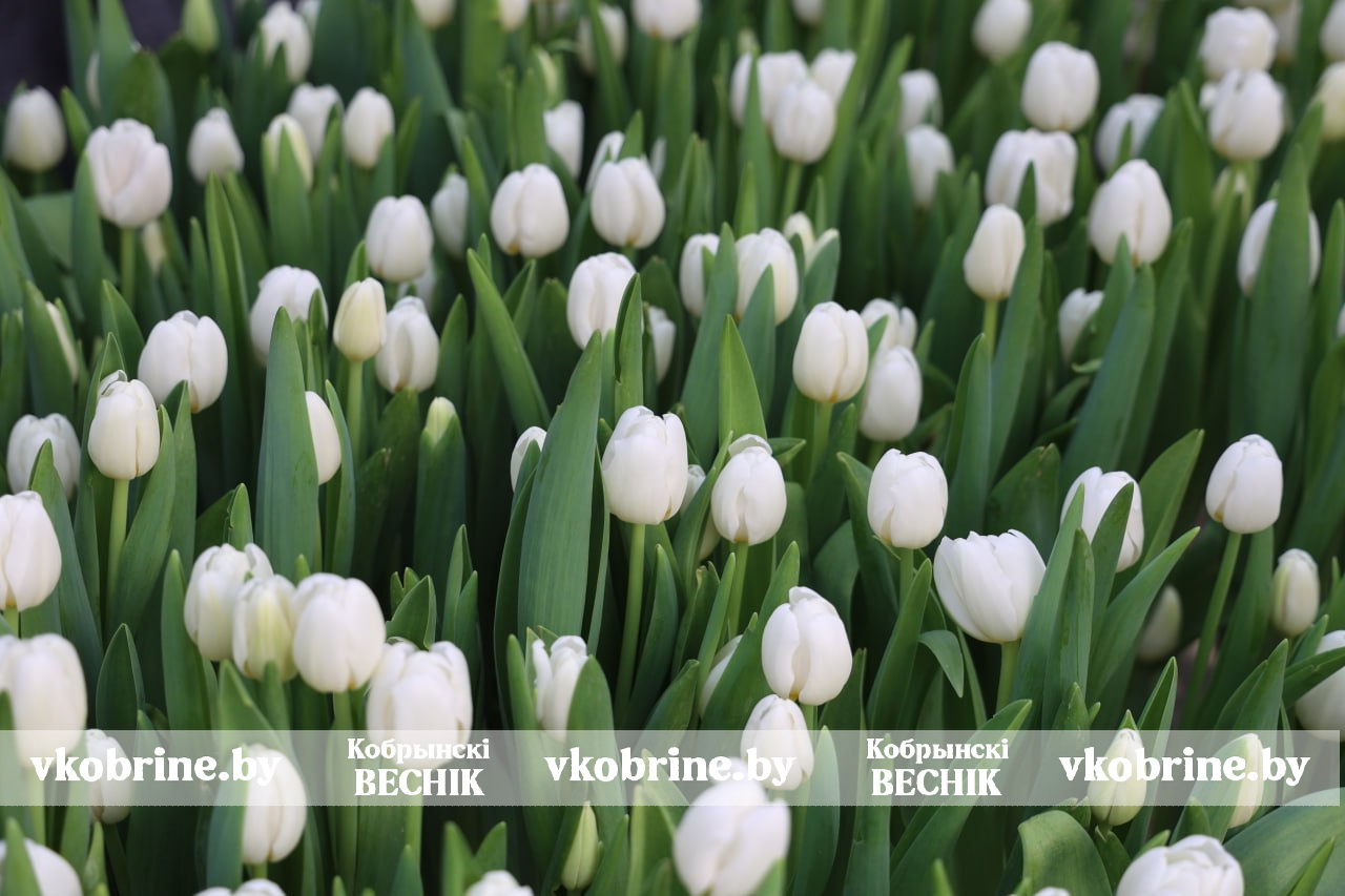 photo 2026 03 03 08 48 51 5 2