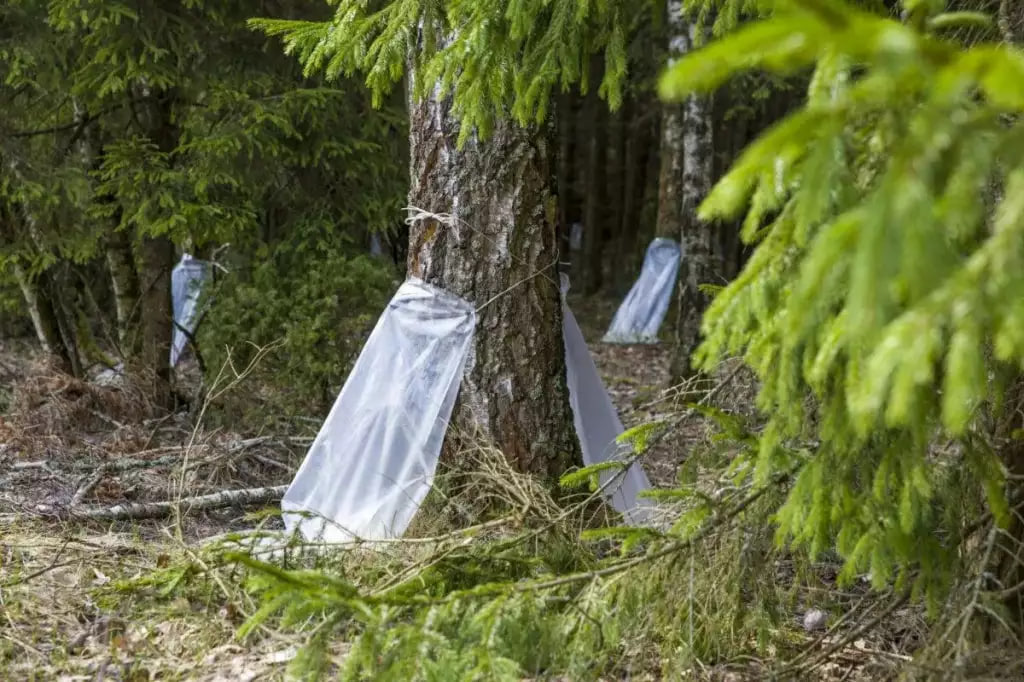 photo 2026 03 09 10 40 05