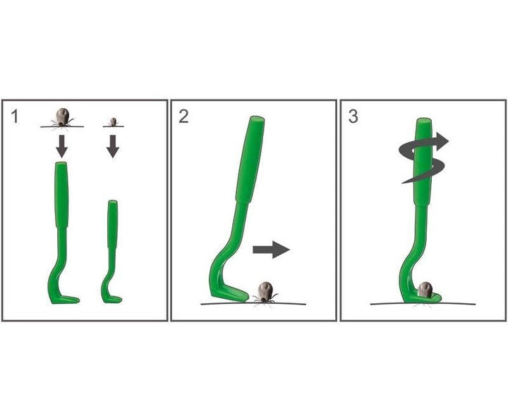 photo 2026 03 20 09 21 54