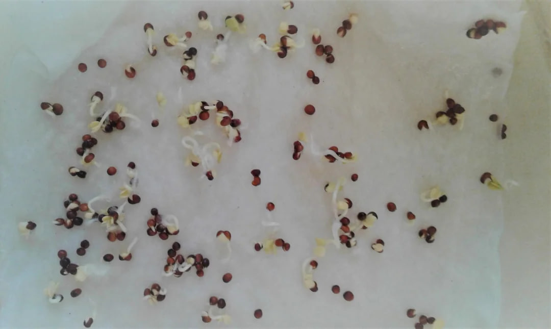 photo 2026 04 24 09 58 57