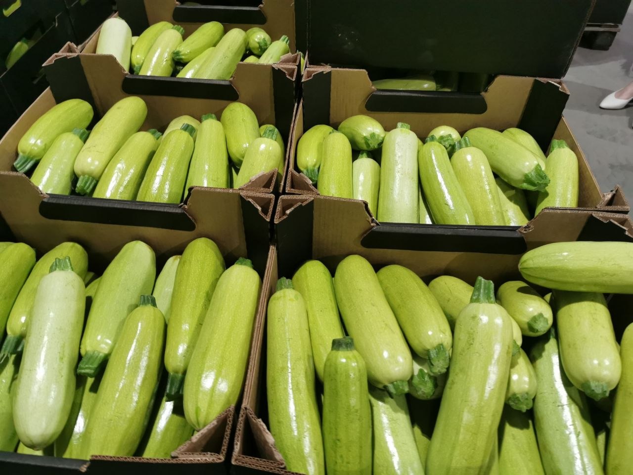 photo 2026 08 06 12 01 38 4