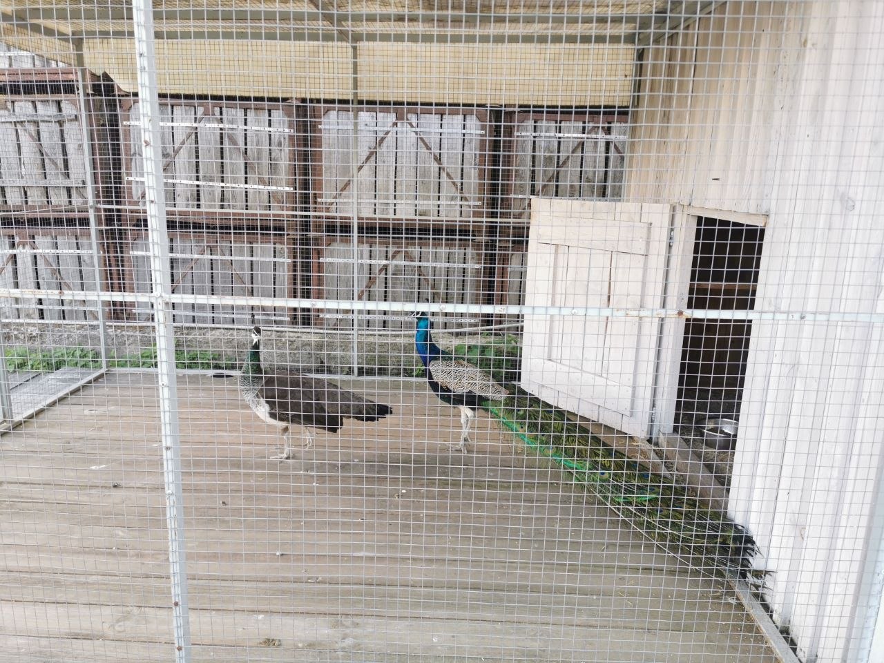 photo 2026 08 06 12 01 39