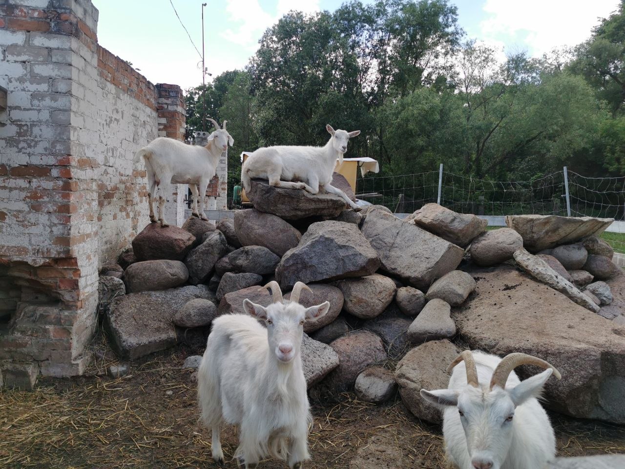 photo 2026 08 06 12 01 39 3