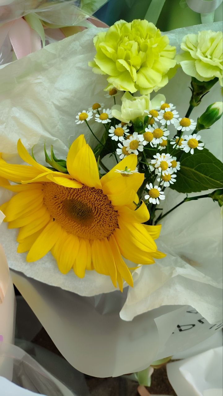 photo 2026 08 31 13 56 28