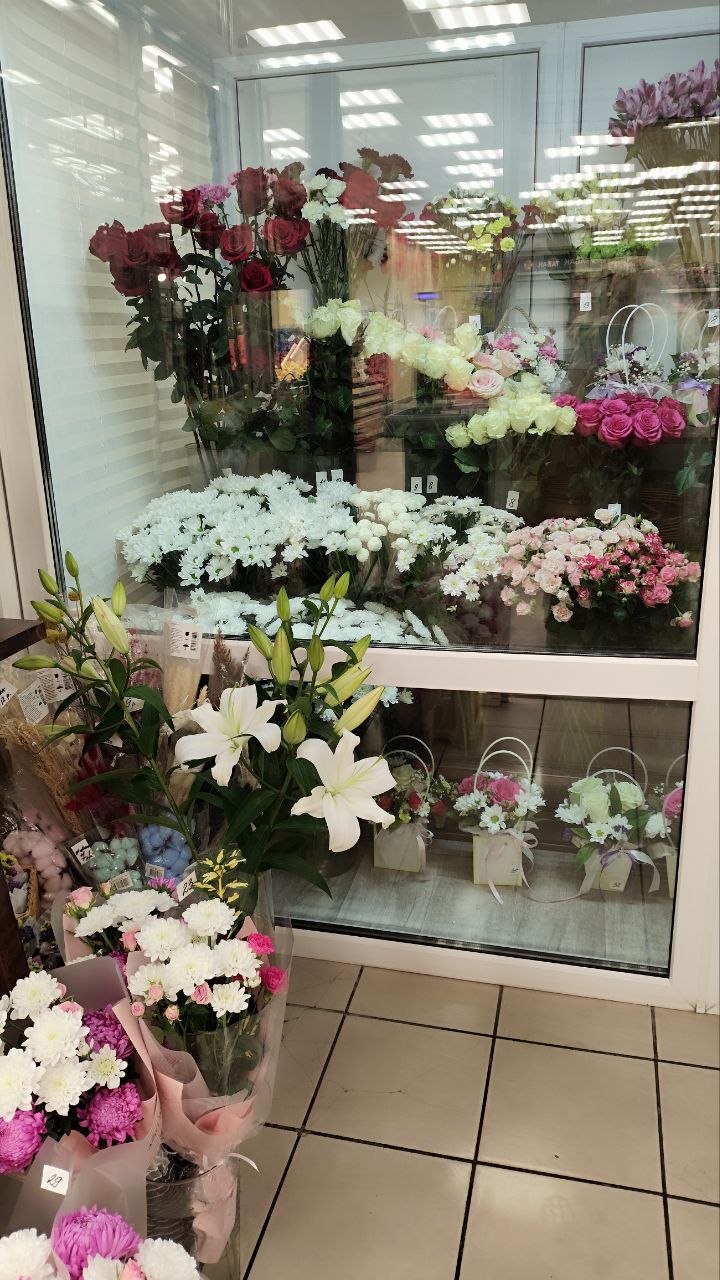 photo 2026 08 31 13 56 30