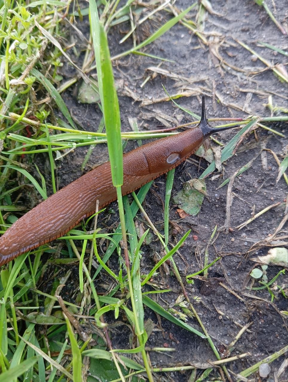 photo 2026 09 07 14 01 11