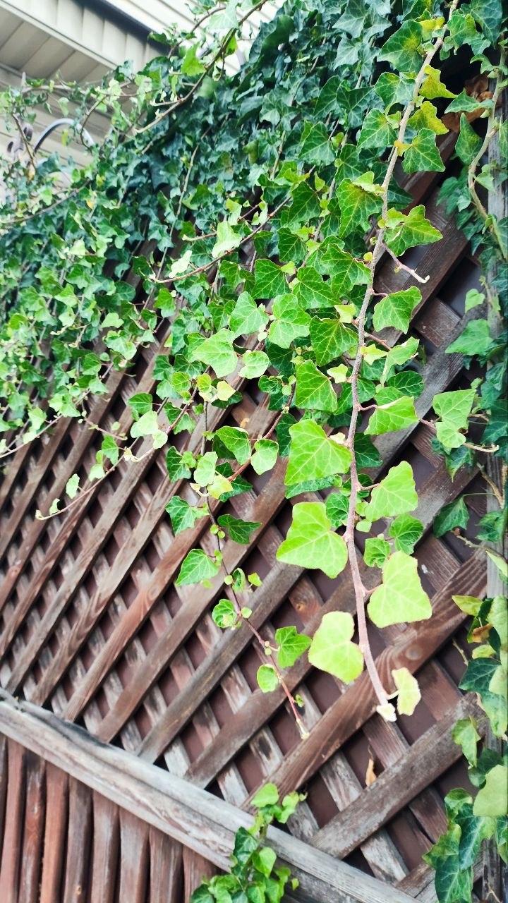 photo 2026 09 18 07 30 54 2