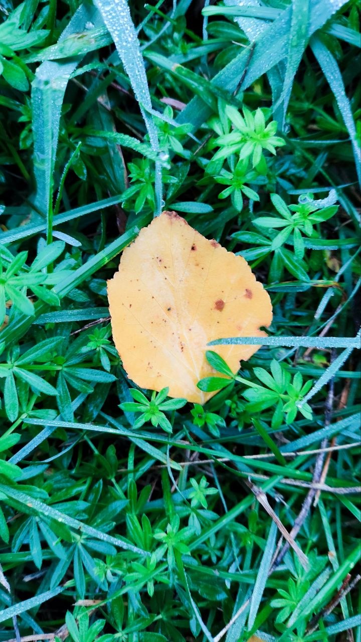photo 2026 09 18 07 30 57