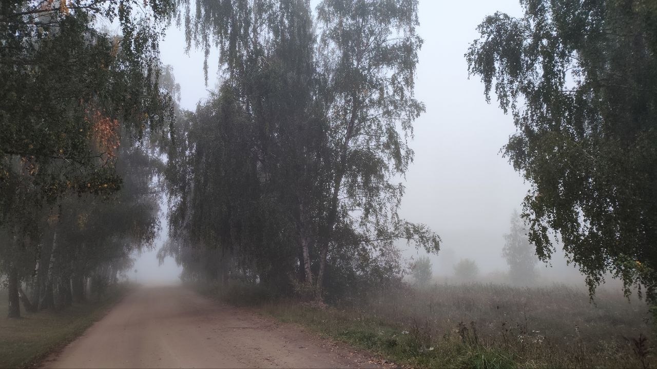 photo 2026 09 18 07 30 57 2