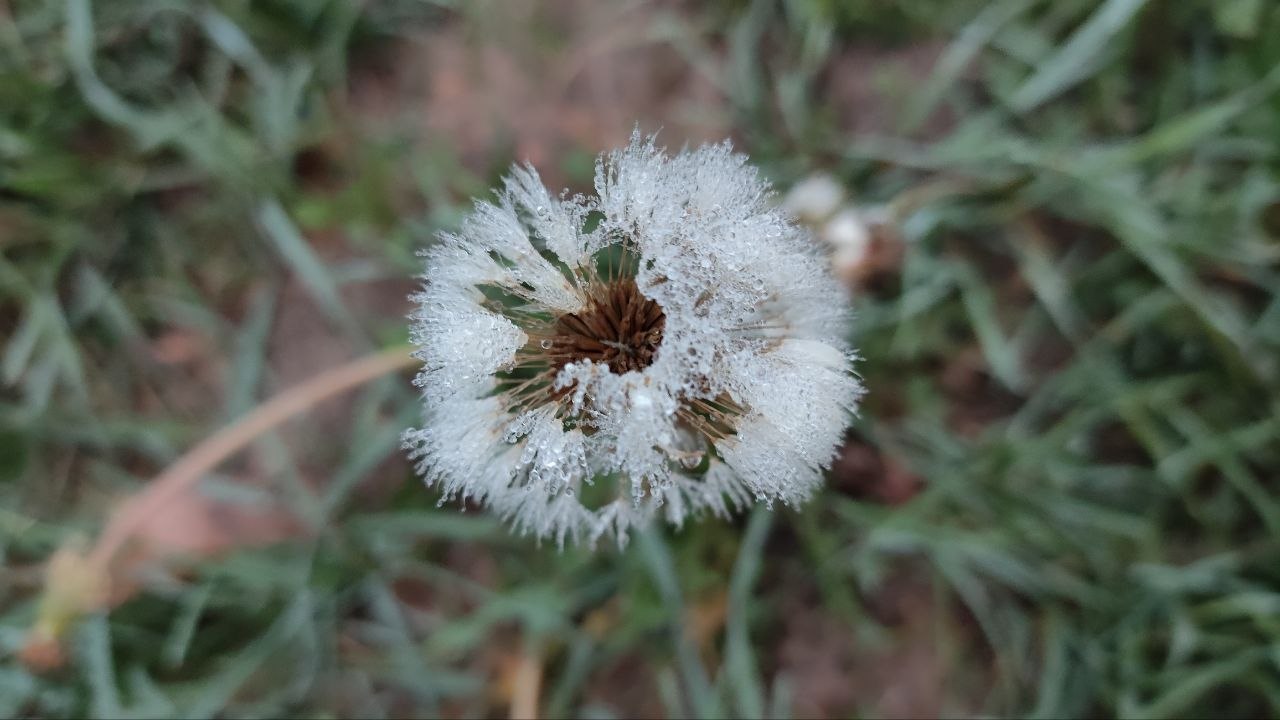photo 2026 09 18 07 30 58