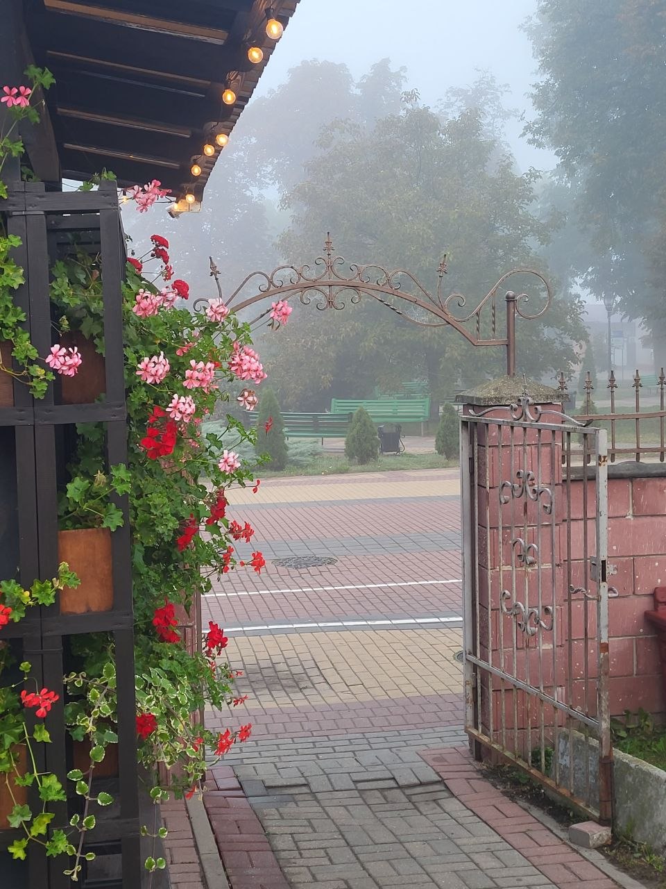 photo 2026 09 18 07 43 09