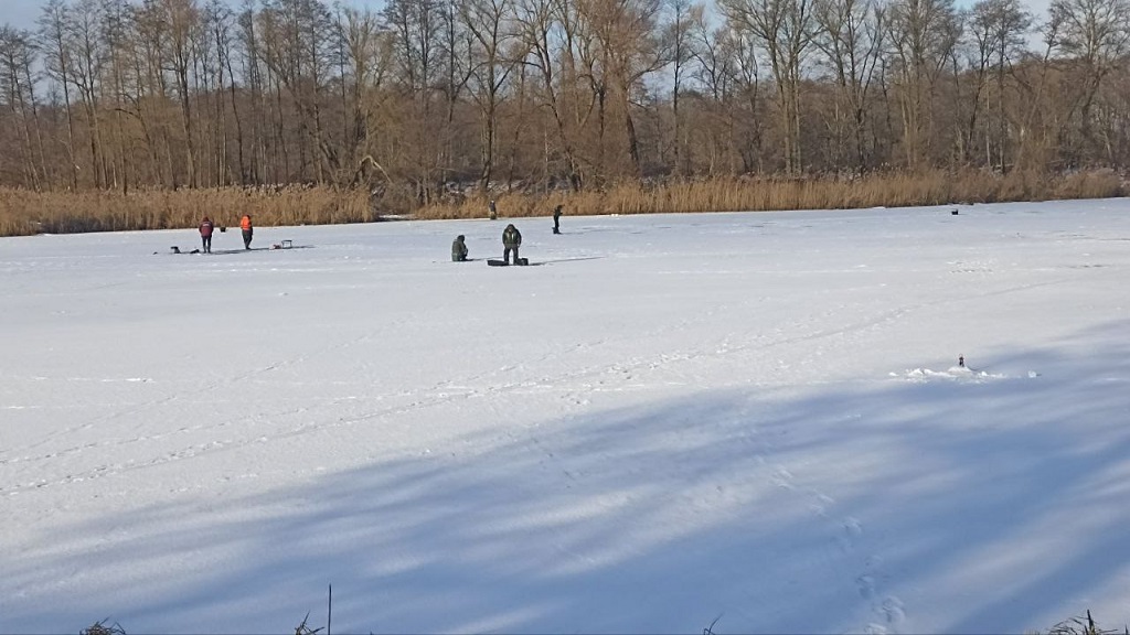 photo 5393523156573688391 y