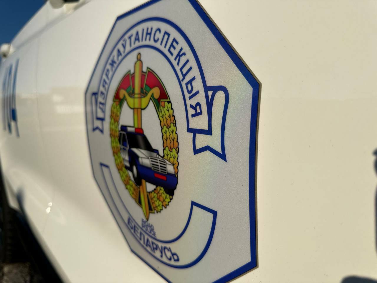 photo 5461057797861609305 y