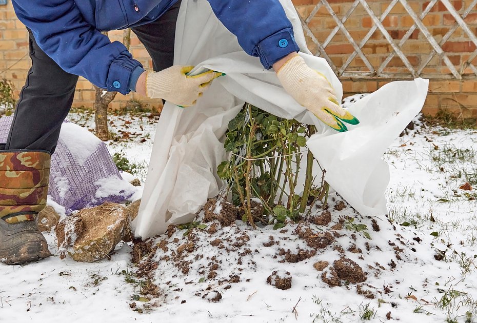 preview 220760fe9668bfed9d5fc8bb93e0f846