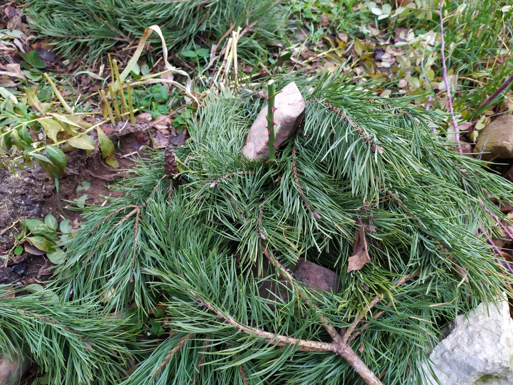 qxedy3my900fs5wf2vp18191u8f0em1p