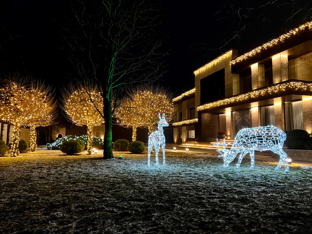 svitlodioni novorichni oleni 20